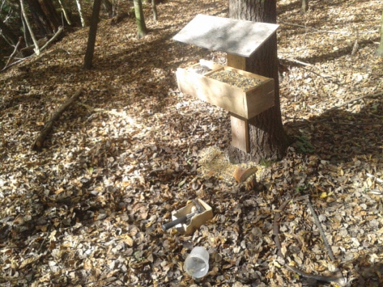 Velmi som rad ked môžem pomôct zveri :)