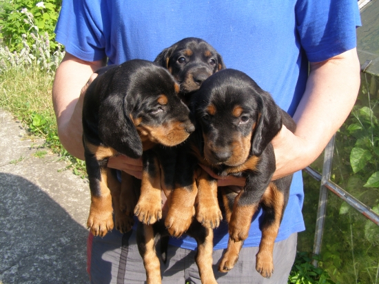 Tri slečny v náručí