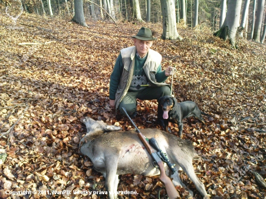 na postriežke za vysokou