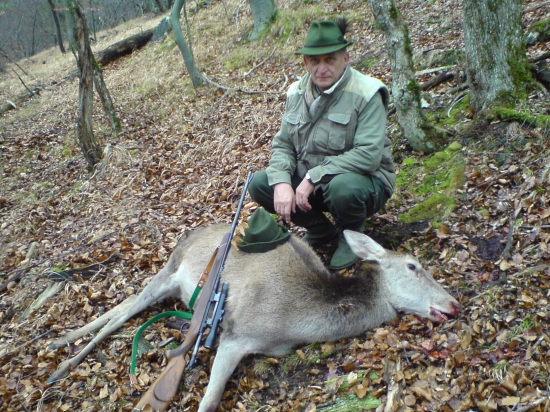 úlovok starej jelenice