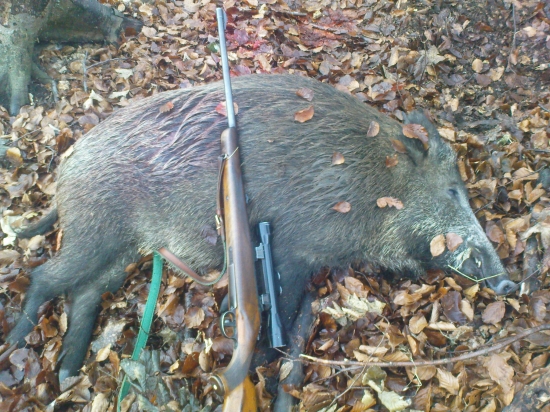 lančiak november 2010