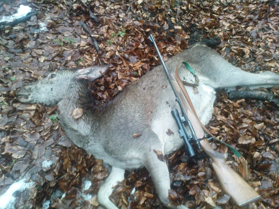 jelenica - sezóna 2010