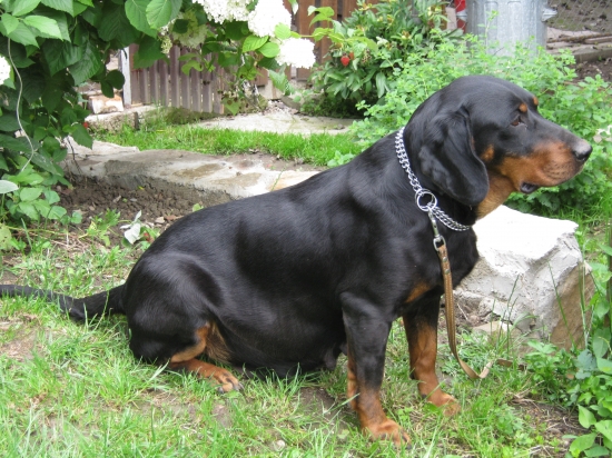 za týždeň rodíme