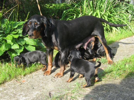 mamine mliečko je najlepšie