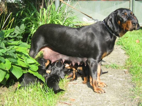 mamine cecíky, no mňam