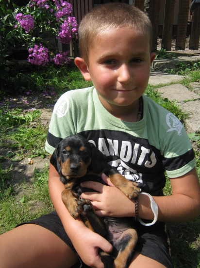 veľká radosť pre deti - šteniatka