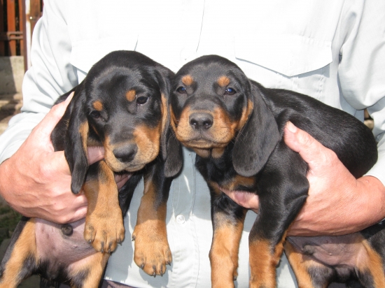 za pár dní môžme byť u nových majiteľov