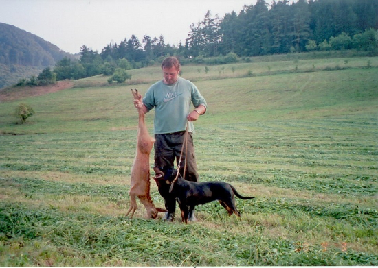 ešte jedna dohľadávka srnčej