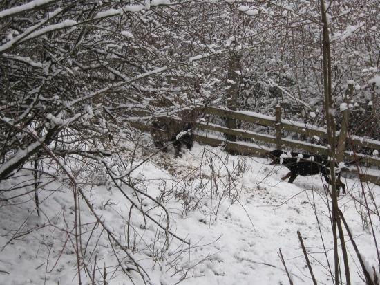 Chvíľami to bolo drsné