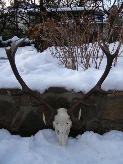 183 bodový štrnástorák