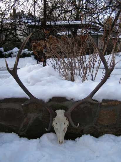 184 bodový desatorák