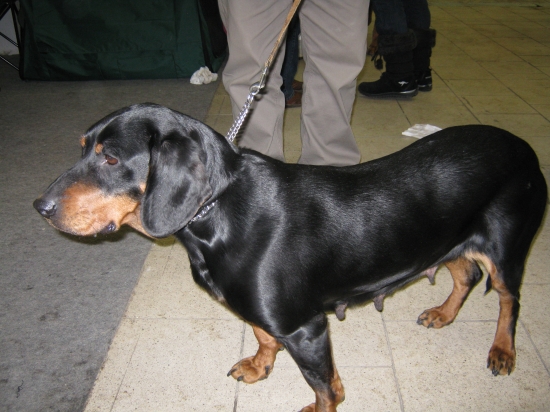 čakanie pred výstavou