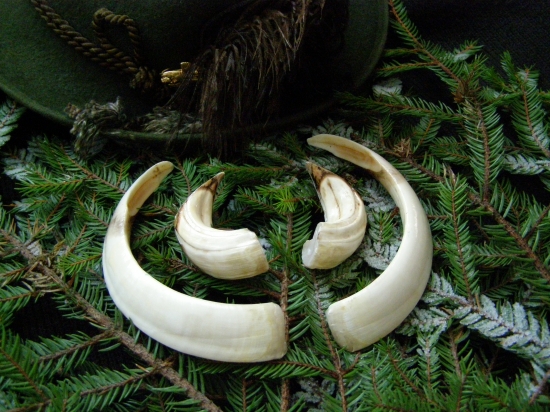 bodová hodnota na bronz