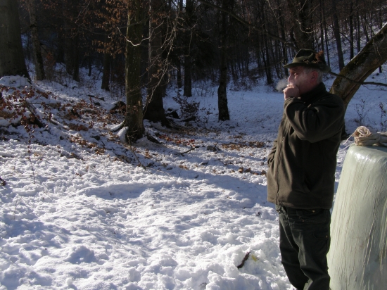 v čera ráno pri kŕmení, -24