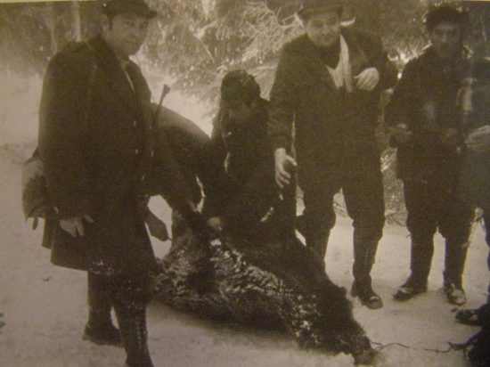 ...na spoločnej,diviak...