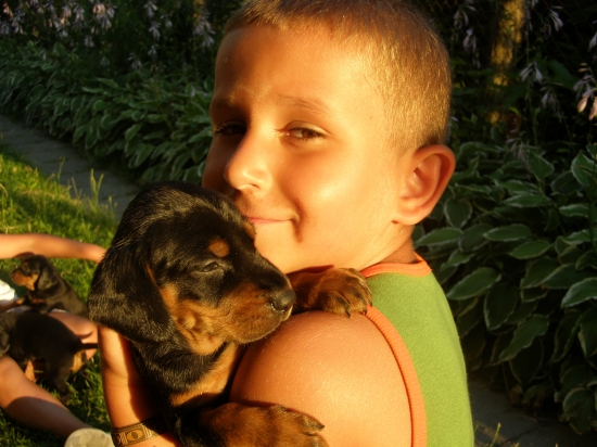 keď slniečko hrialo