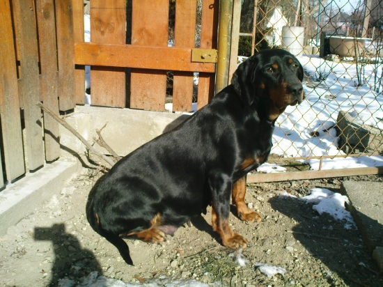 ... 15-16 dní a rodíme...