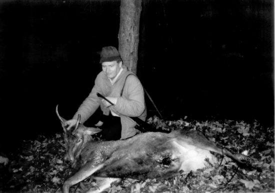 ...taký krivý ihličiak...