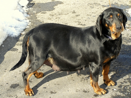 v piatok alebo sobotu bude veselo - pôrod :-)