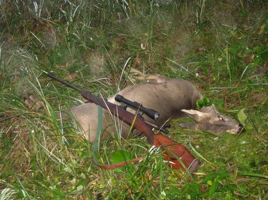 úlovok -  po ďaľšej presnej rane