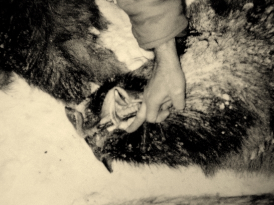 spomienka na kanca z pred 30 rokov