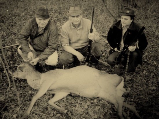 spomienková- staré zranenie jelenice