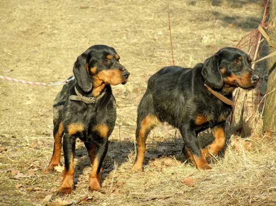 ...potrénované, doudierané, ale spokojné...