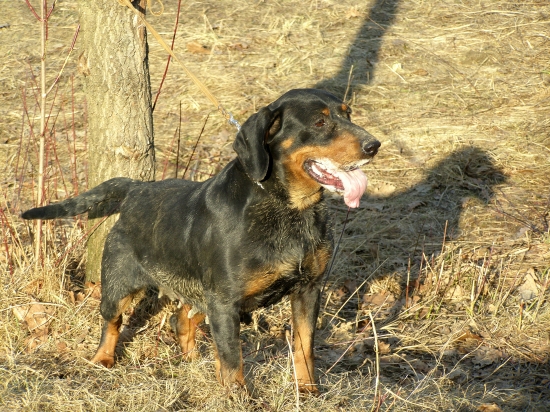 ...kopovka, po hodinu a pol dlhom tréningu...