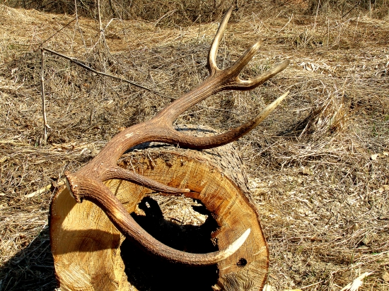 ...zhod ktorý poťeší...