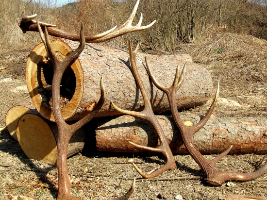 ...kto hľadá nájde...