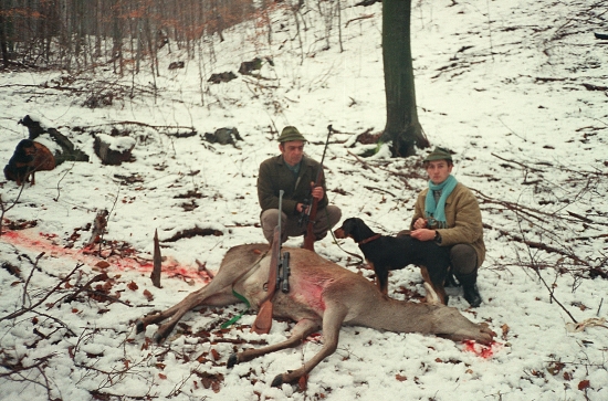 ...moja prvá dohľadávka jelenice rok 1997...