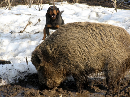 ...momentka pri hlásení...