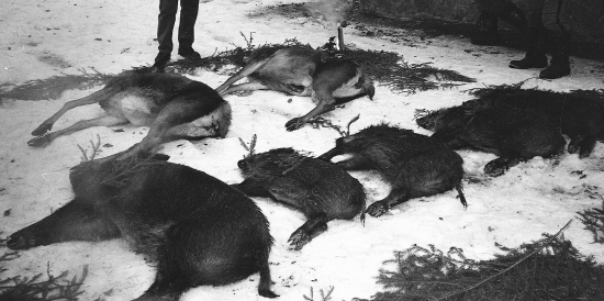 ... v osemdesiatych rokoch na výrade...