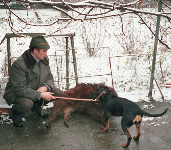 ...keď som diviača dohľadával...