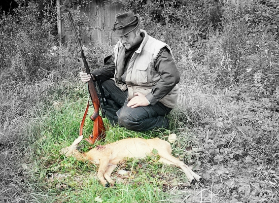 ...srnček gombičkár...