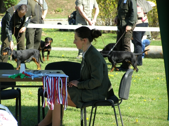 ...keď na výstave kopovov očko zablúdi...