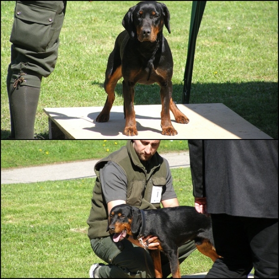 ...keď sa má kopov tváriť ako modelka a nejde mu to :-) ...