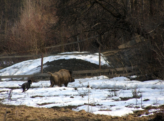 ...keby to tak v pohone bolo ...