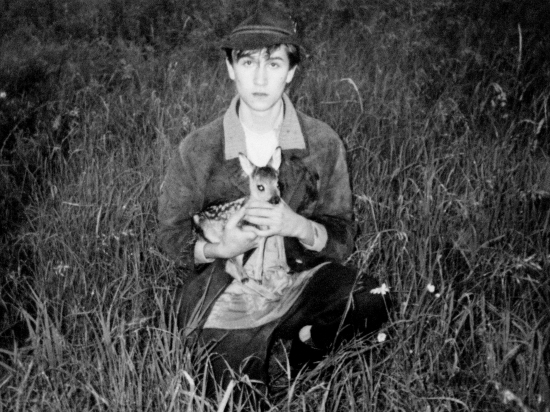 ...keď mamu srnku auto zrazilo a srnčiatko zostalo pri nej...