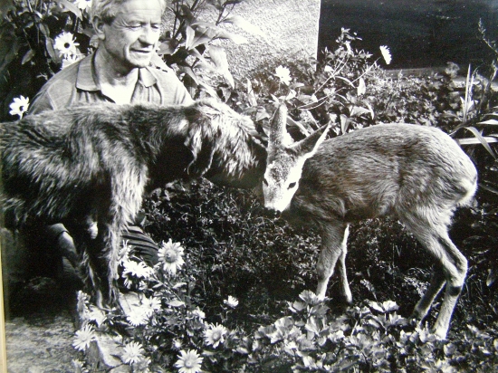 ...spomienková, mali sa radi...