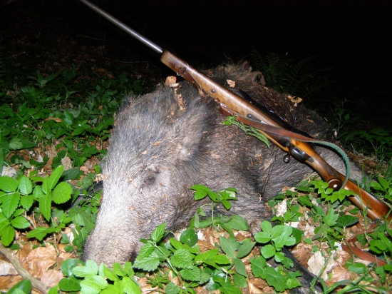 ...včera večer sa mi zadarilo...