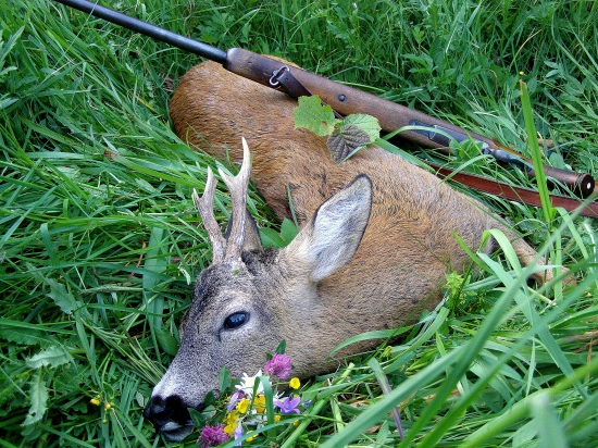...večný výrad...