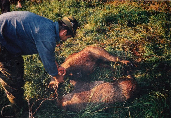 ...v ranných lúčoch...