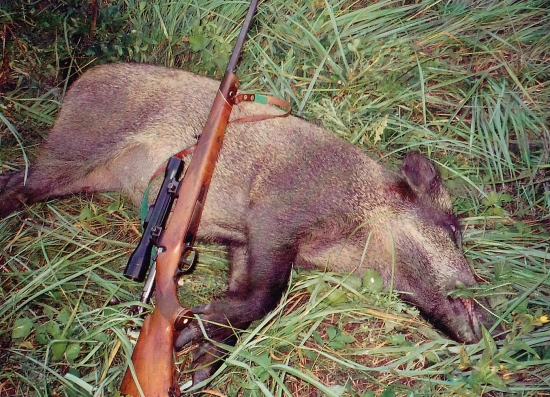 ...úspešné ráno s úlovkom...