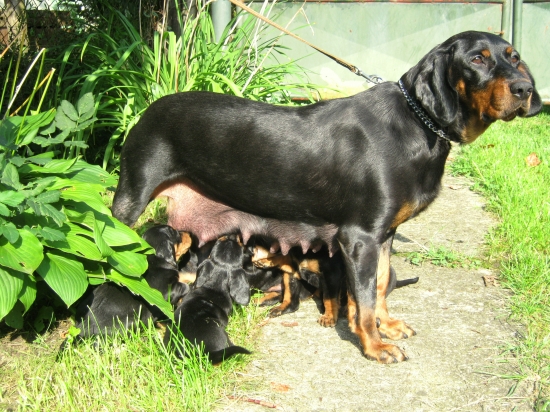 ...Orka Morské Oko - poviem Vám, je to pekná zábava...