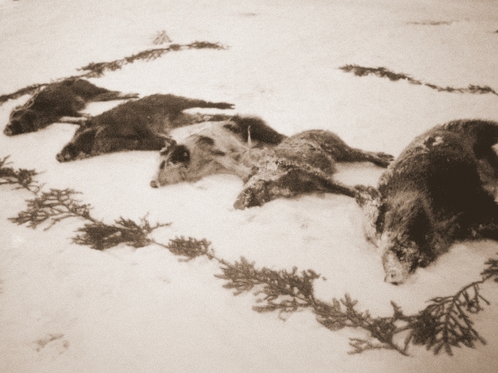 ...po úspešnej poľovačke...