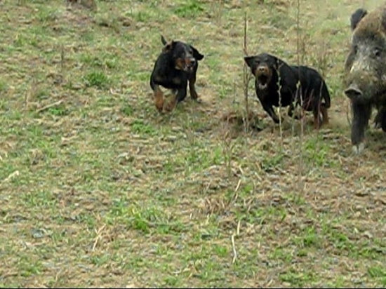 ...sa s ním nemaznali...