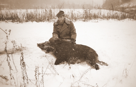 ...na diviačkoch...