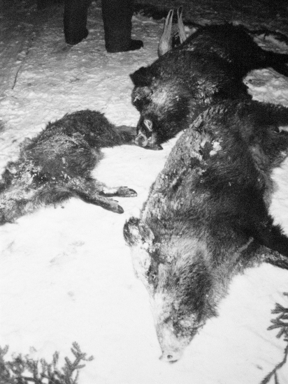 ...keď sa to začalo ukladať...