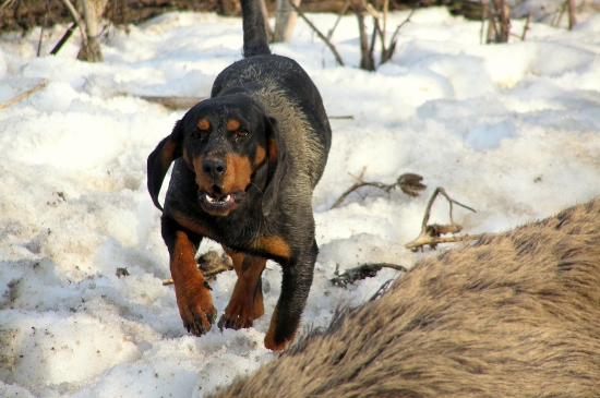 ...trošku snehu na ochladenie a samozrejme kopov:-)...